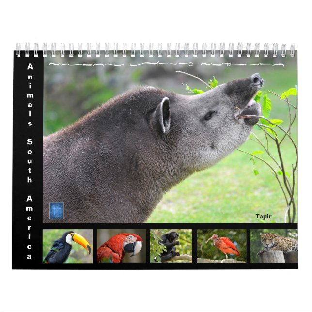 Various animals of South America 12 month Calendar (Cover)