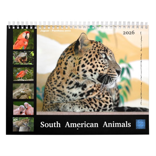 Various animals of South America Calendar (Cover)