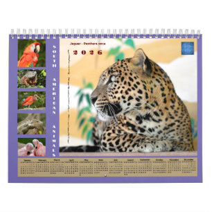 Various animals of South America Calendar