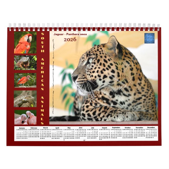 Various animals of South America Calendar (Cover)