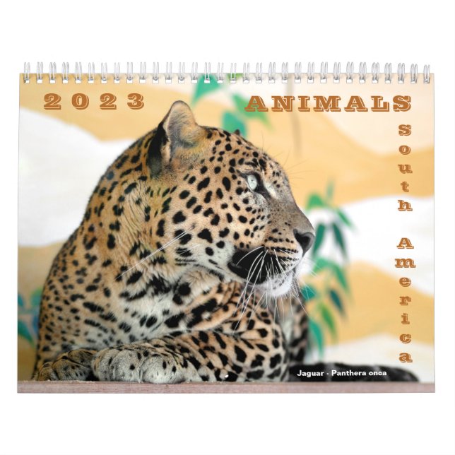 Various animals of South America Calendar (Cover)