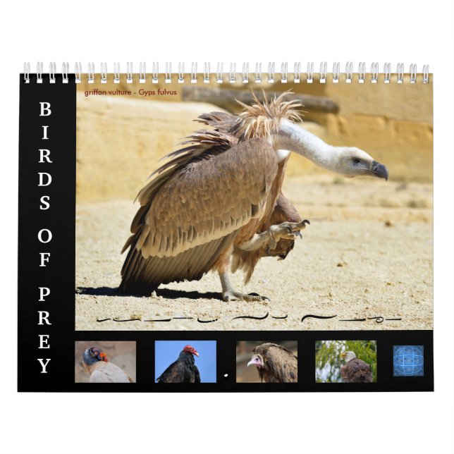 Various birds of prey 12 month calendar (Cover)