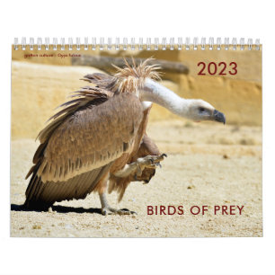 Various birds of prey calendar