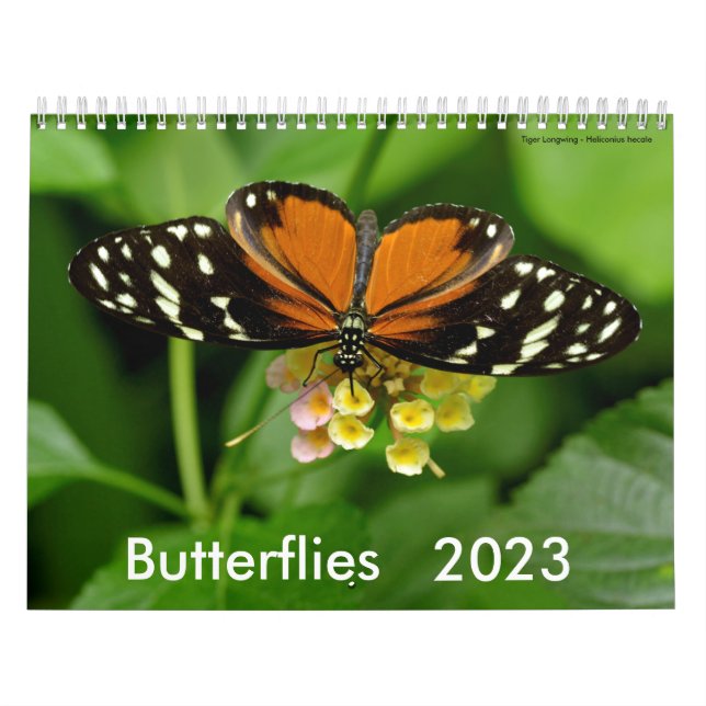 Various butterflies calendar (Cover)