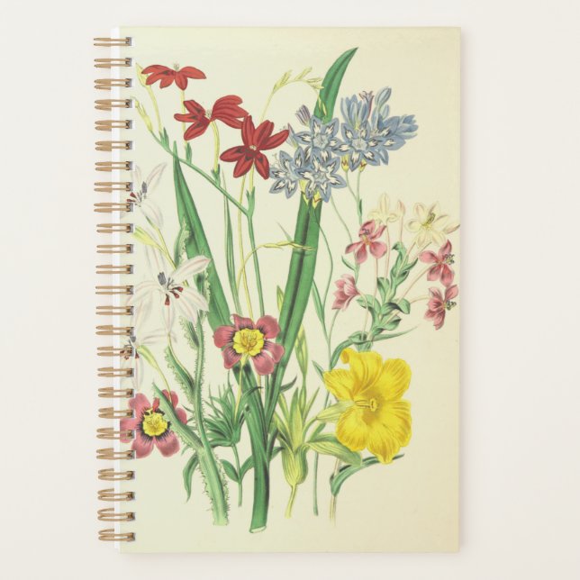 Various Colourful Flowers & Green Plants Planner (Front)