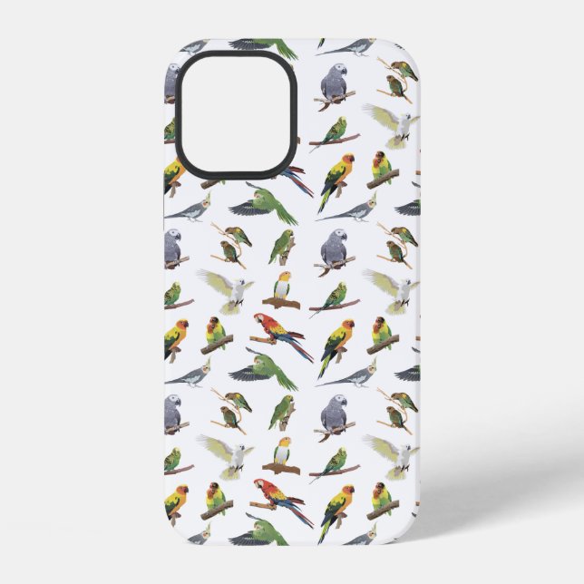 Various Colourful Parrots iPhone Case (Back)