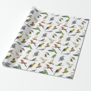 Various Colourful Parrots Wrapping Paper