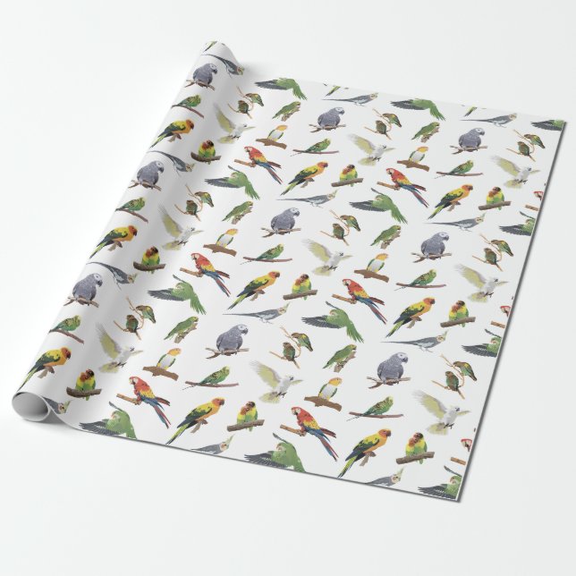 Various Colourful Parrots Wrapping Paper (Unrolled)