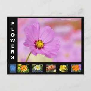 Various flowers holiday postcard
