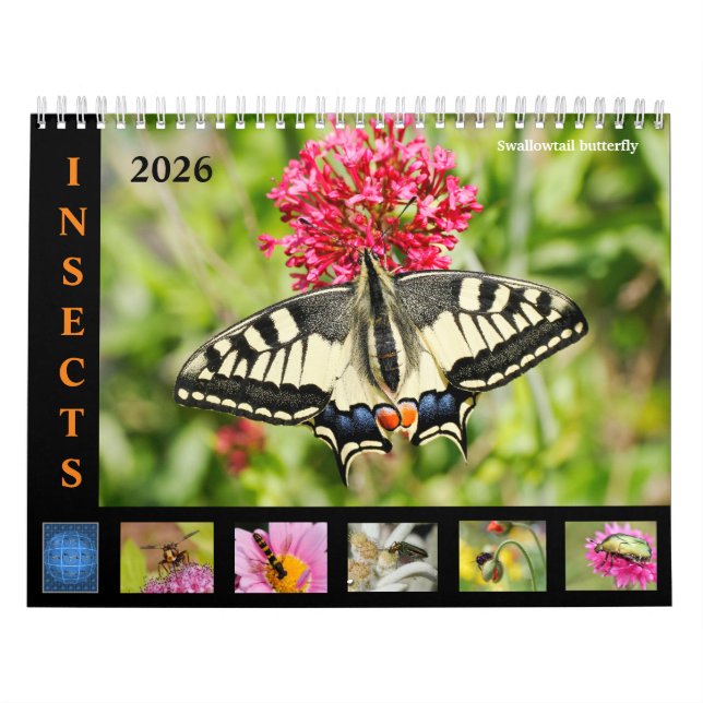 Various insects and flowers 12 month calendar (Cover)