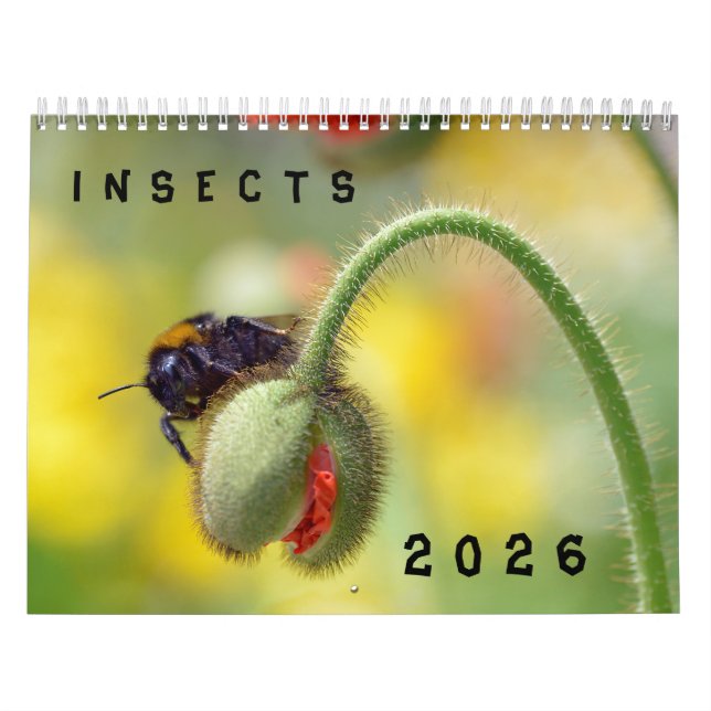 Various insects calendar (Cover)