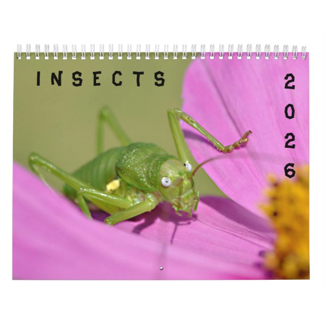 Various insects calendar (Cover)