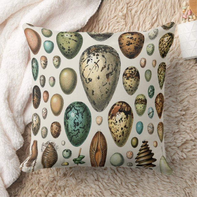 Various kinds of Egg Scientific Illustration Cushion (Blanket)