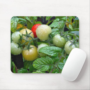 Various Stages of Ripening Cherry Tomatoes Mouse Mat