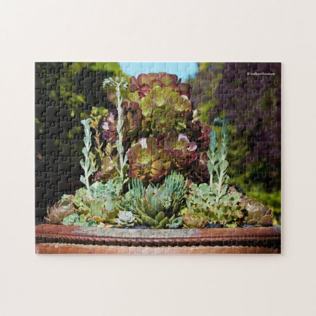 Various Succulents in Large Planter Jigsaw Puzzle (Horizontal)
