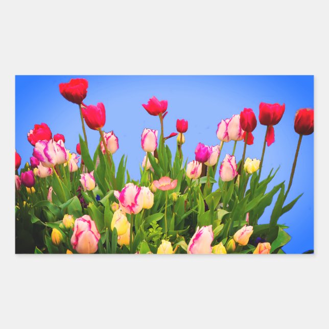Various Tulips #3 Stickers (Front)