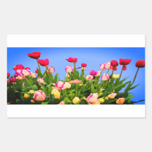Various Tulips #3 Stickers