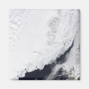 Various types of sea ice magnet