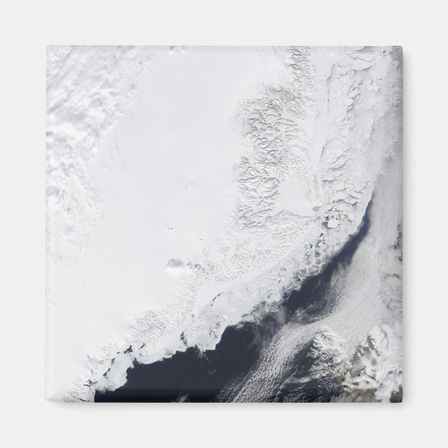 Various types of sea ice magnet (Front)