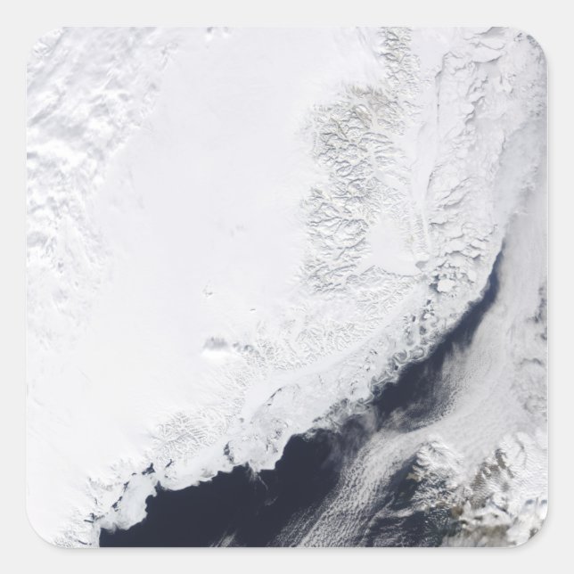 Various types of sea ice square sticker (Front)