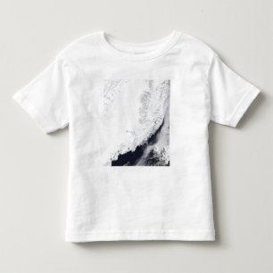 Various types of sea ice toddler T-Shirt