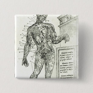 Vascular System according to Charles Etienne 15 Cm Square Badge