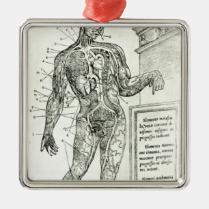 Vascular System according to Charles Etienne Metal Tree Decoration