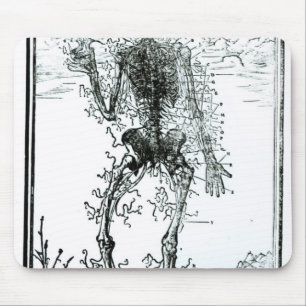 Vascular System of the Body Mouse Mat