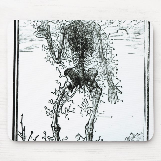 Vascular System of the Body Mouse Mat (Front)