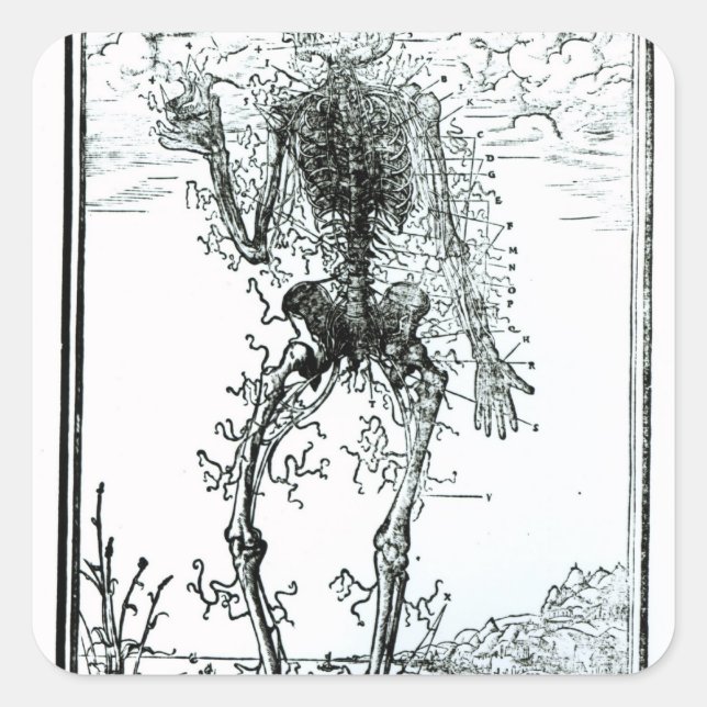 Vascular System of the Body Square Sticker (Front)