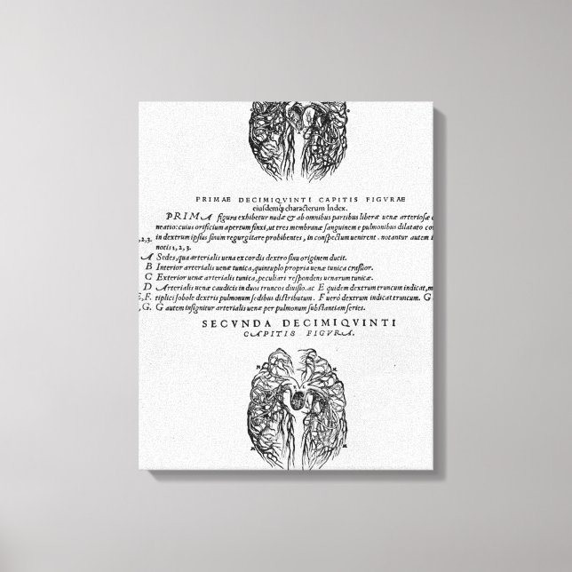 Vascular system of the brain canvas print (Front)