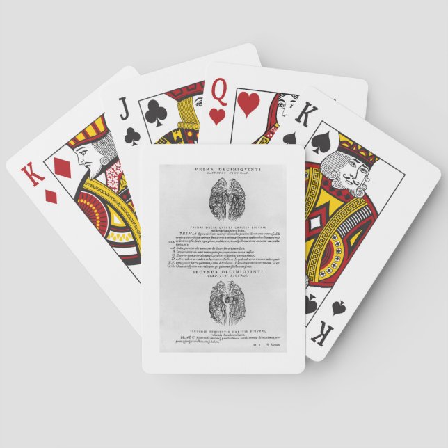 Vascular system of the brain playing cards (Back)