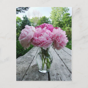 Vase of Pink Peonies Postcard