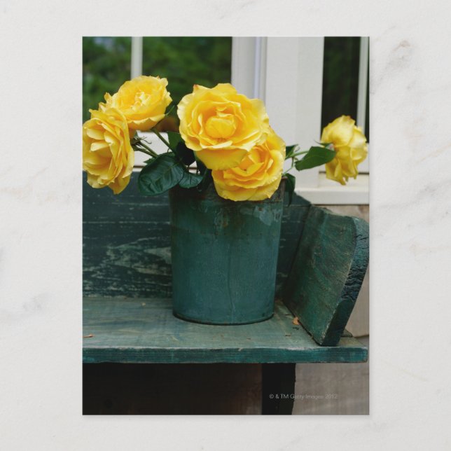 Vase of Yellow Roses on a Bench Postcard (Front)
