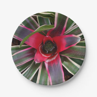 Vase Plant Paper Plates