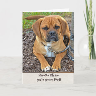 Vasectomy Humor Card