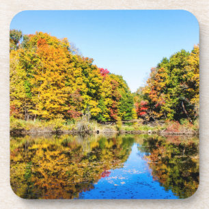 Vassar Farms Pond Coaster