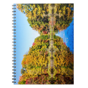 Vassar Farms Pond Notebook