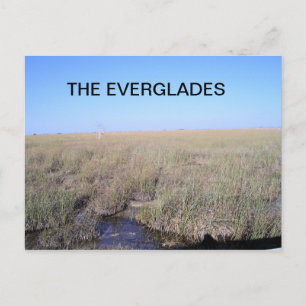 VASTNESS OF THE EVERGLADES POSTCARD
