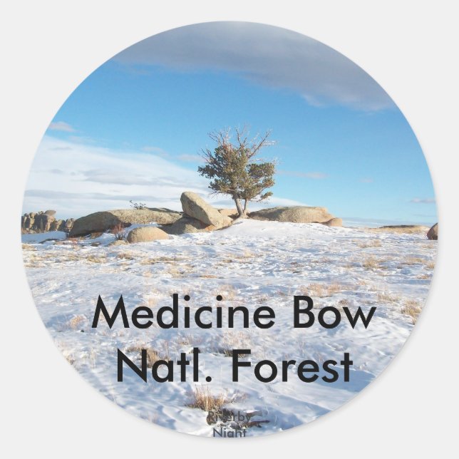 Vaudewoo - WY, USA Classic Round Sticker (Front)