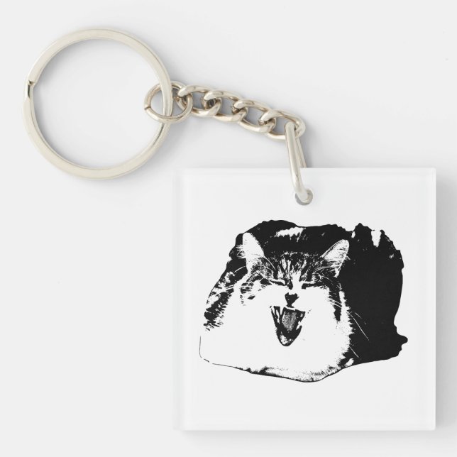 Vector Grin, Clip Smarts Key Ring (Front)