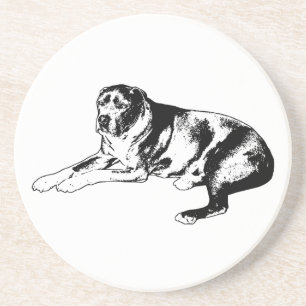 Vector Strength for Seasonal Tables Coaster