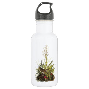 Veery by Audubon 532 Ml Water Bottle