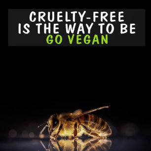 Vegan Activism  Bumper Sticker