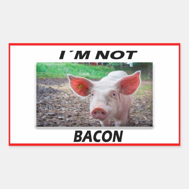 Vegan | Activism Stickers | Save the Animals (Front)