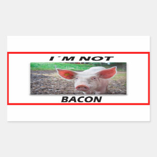 Vegan | Activism Stickers | Save the Animals