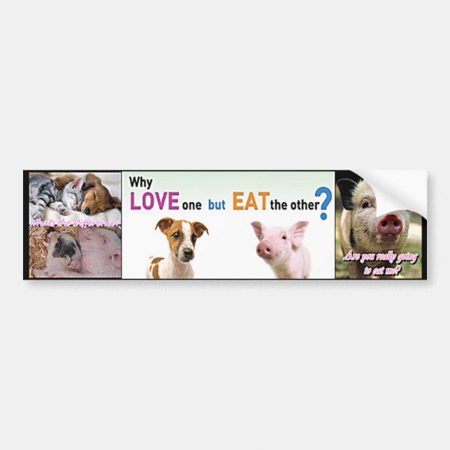vegan factory farming bumper sticker (Front)
