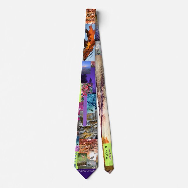 Vegan/Feminist Ally and BLM Tie II (Front)