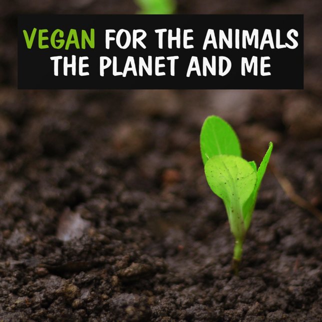 Vegan for the Animals, The Planet and Me Activism  Bumper Sticker (Creator Uploaded)
