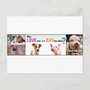 Vegan Gear Whats the difference? Postcard